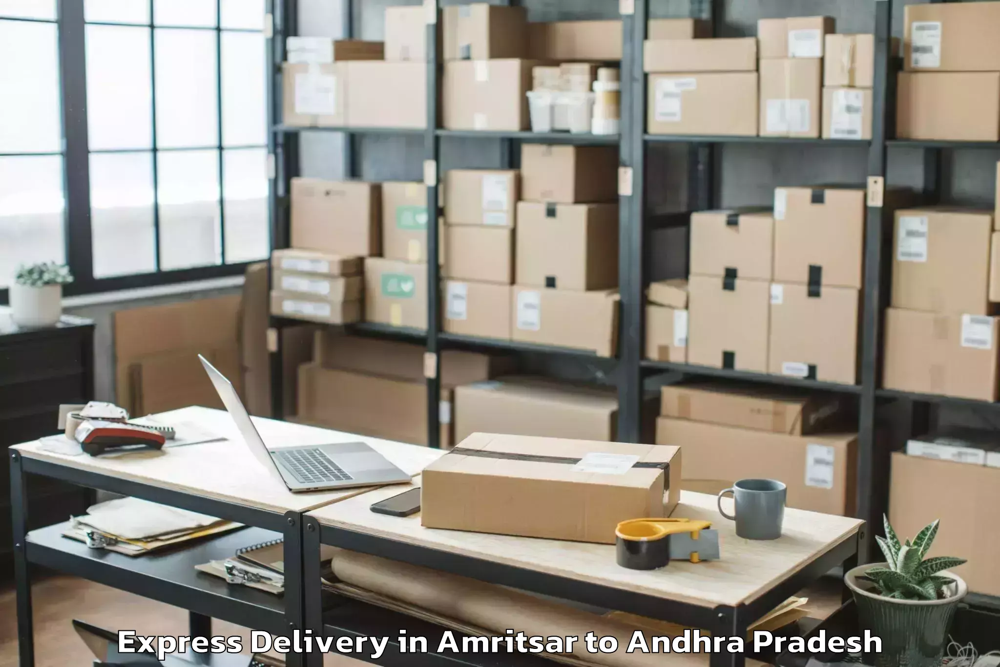 Professional Amritsar to Veerullapadu Express Delivery